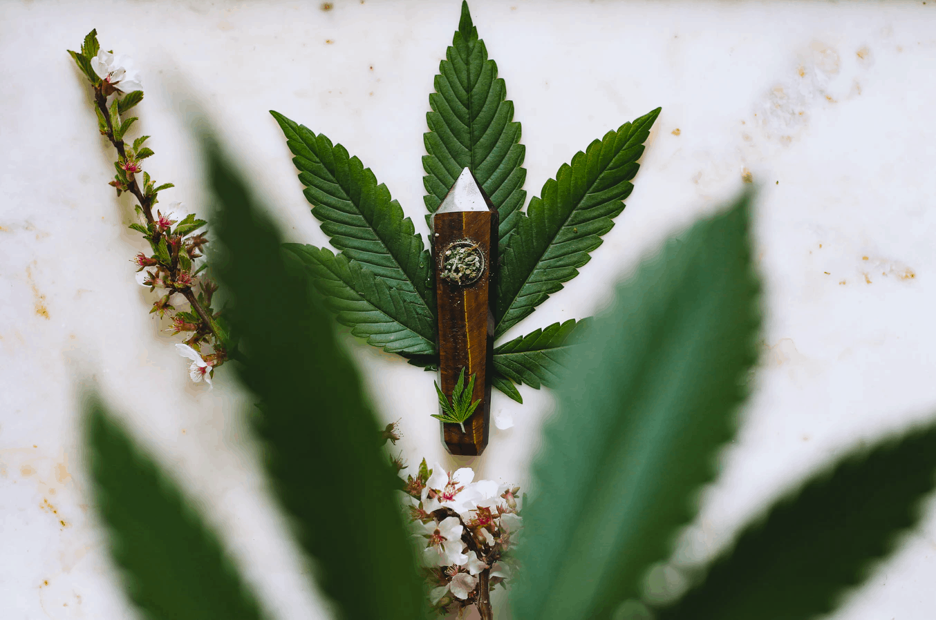 420 Meaning The Real History Of April 20.